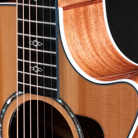 2024年の新アコースティックギター | Taylor Guitars